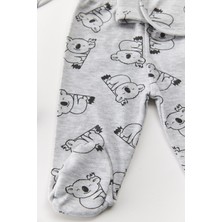 5'li Koala Set
