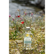 Olla Japan Sakura Parfüm  Kolonya 200 ml