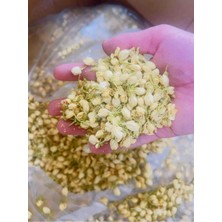 Doğal Yasemin Çayı Jasmin Tea 30GR