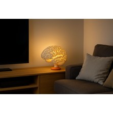 Brain Lamp – Gerçek Ölçekli Beyin Şeklinde Masa Lambası