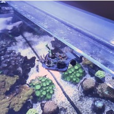 Aquanix Frag Tutucu
