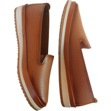 Wanetti Bayan Babet WN-005 38 Numara