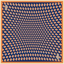 Özel Seri Eşarp 2354-02 90X90