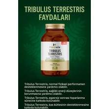 Herovix Tribulus Terrestis 500 Mg 60 Kapsül