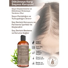 Pxel Anti-Hair Loss Şampuan – Biberiye Saç Bakım Toniği 2’li Set 400 ml - 150 ml