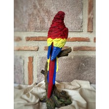 Papağan Macaw