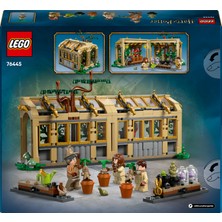 LEGO® Harry Potter™ Hogwarts™ Şatosu: Bitkibilim Dersi 76445 - 8 Yaş ve Üzeri Çocuklar Için Oyuncak Yapım Seti (390 Parça)