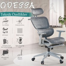 Karr Office Odessa Fonksiyonel Çalışma Koltuğu