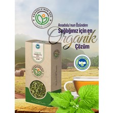 Anadolunun Özü Oganik Isırgan Otu Çayı ''40gr''