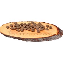 Somonlu Tahılsız Yetişkin Köpek Kuru Maması 4 kg