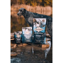 Somonlu Tahılsız Yetişkin Köpek Kuru Maması 4 kg