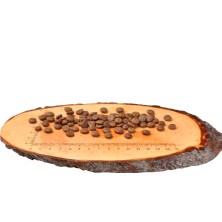 Kısırlaştırılmış Kediler Için Balıklı Tahılsız Kuru Mama 2 kg
