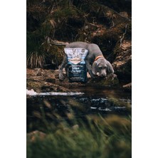 Somonlu & Hindili Tahılsız Yavru Köpek Maması 1,5 kg