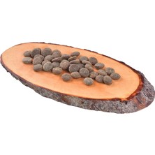 True Fresh Hindili Tahılsız Yetişkin Köpek Kuru Maması 1,4 kg