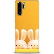 Kılıf Evreni Huawei P30 Pro Uyumlu A+ Plus Kılıf + SERAMİK KIRILMAZ EKRAN KORUYUCU 78