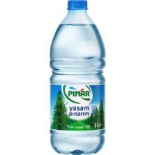 Pınar Su 1 lt 24'lü Paket Su