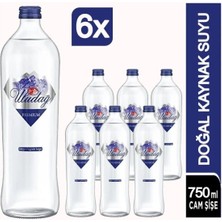 Uludağ Su Cam Şişe 24x750 ml