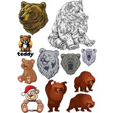Ayı Sticker Set-5 10 Parça Telefon, Tablet, Defter, Laptop Sticker