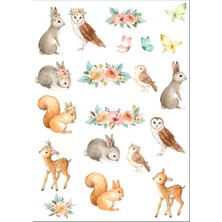 Sevimli Hayvanlar Sticker Set 3