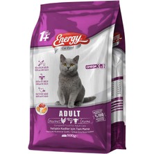 Pet Food Energy Cat Food Energy 500 g Gurme Yetişkin Kedi Maması