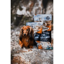 Deve Kuşu Etli & Kuzu Etli Tahılsız Küçük Irk Köpek için Kuru Mama  6 kg