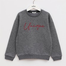 Erkek Çocuk Şardonlu Uzun Kol Kalın Bisiklet Yaka Tişört - 16010 - Gri