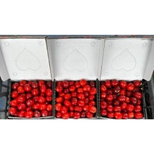 Taze Kiraz (1 Kg)