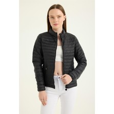 Puffer Dik Yaka Mont