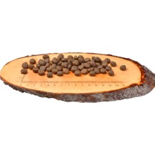 Ördekli ve Hindili Tahılsız  Iri Irk Kedi Kuru Maması ( Kemik ve Kas Gelişimi Destekleyici ) 2 kg