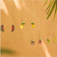 Dangling Watermelon Earrings El Yapımı Küpe
