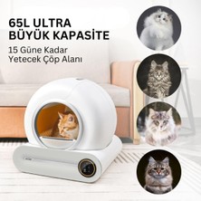 River World Kediler Için Tuvalet Otomatik Akıllı
