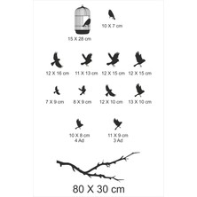 trc trafik Kafesten Kaçan Kuşlar Dekoretif Duvar Sticker Gri (13 Figür)