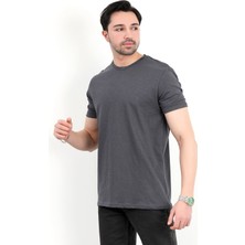 Erkek Bisiklet Yaka Basic %100 Pamuklu T-Shirt Antrasit - 25Y 2735