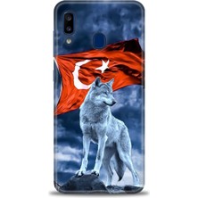Samsung Galaxy A20 Hd Baskılı Kılıf + Seramik Tam Kaplayan Ekran Koruyucu 36