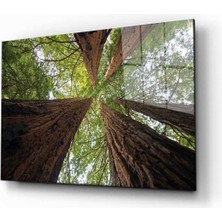 Doğa Manzara Cam Tablo 4mm Dayanıklı Temperli Cam