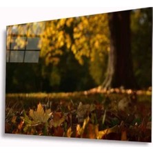 Sonbahar Cam Tablo 4mm Dayanıklı Temperli Cam