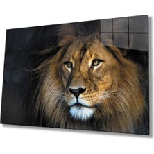 Shopping Haven Aslan Hayvan Cam Tablo 4mm Dayanıklı Temperli Cam