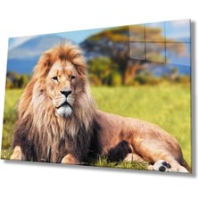 Aslan Hayvan Cam Tablo 4mm Dayanıklı Temperli Cam