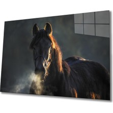 Shopping Haven At 1 Cam Tablo