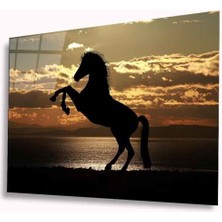 Shopping Haven Şahlanan At Cam Tablo 4mm Dayanıklı Temperli Cam