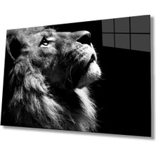 Shopping Haven Aslan Hayvan Cam Tablo 4mm Dayanıklı Temperli Cam