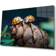 Shopping Haven Uğur Böceği ve Yaprak Cam Tablo, Ev ve Ofis Duvar Dekoru, Hediyelik Büyük Temperli 4 mm Cam Tablo