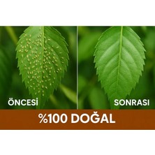 ELSEDE Neem Yağı Cleance Organik Böcek Kovucu, Yaprak Bit Temizleyici