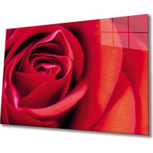 Shopping Haven Kırmızı Gül Cam Tablo
