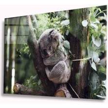 Koala Cam Tablo 4mm Dayanıklı Temperli Cam