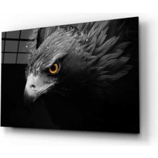 Shopping Haven Kartal 4 Hayvan Cam Tablo