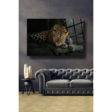 Shopping Haven Leopar Cam Tablo