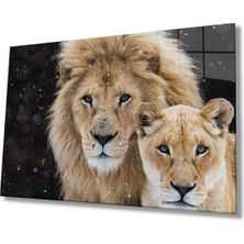 Shopping Haven Aslan Hayvan Cam Tablo 4mm Dayanıklı Temperli Cam