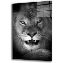 Shopping Haven Aslan Hayvancam Tablo