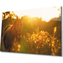 Shopping Haven At 3 Cam Tablo